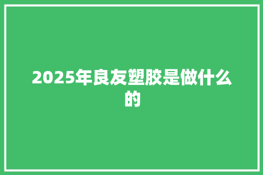 2025年良友塑胶是做什么的