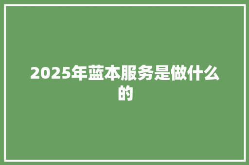 2025年蓝本服务是做什么的