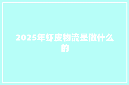 2025年虾皮物流是做什么的