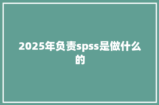 2025年负责spss是做什么的