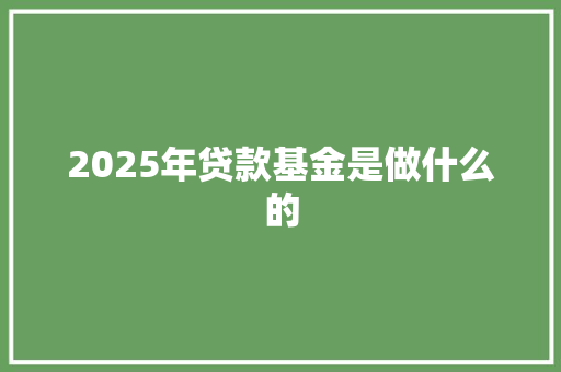 2025年贷款基金是做什么的