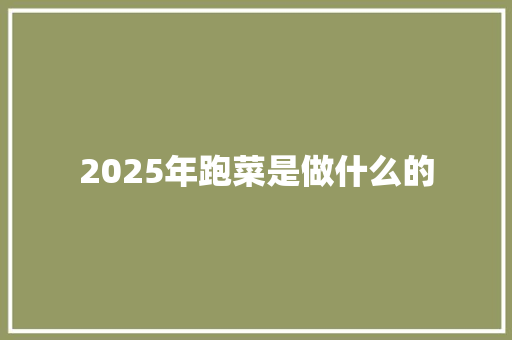 2025年跑菜是做什么的