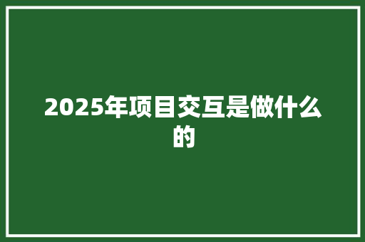 2025年项目交互是做什么的