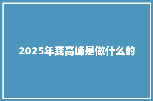 2025年龚高峰是做什么的