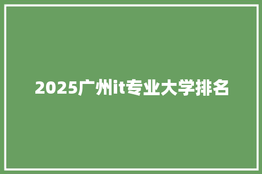 2025广州it专业大学排名