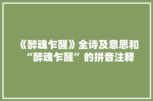 《醉魂乍醒》全诗及意思和“醉魂乍醒”的拼音注释