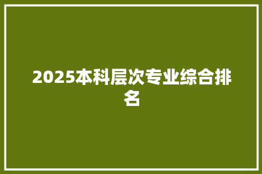 2025本科层次专业综合排名