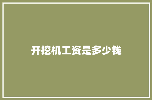 开挖机工资是多少钱