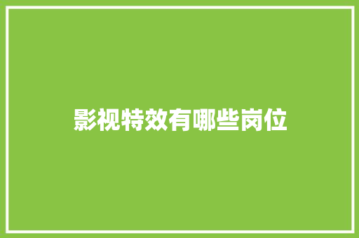 影视特效有哪些岗位