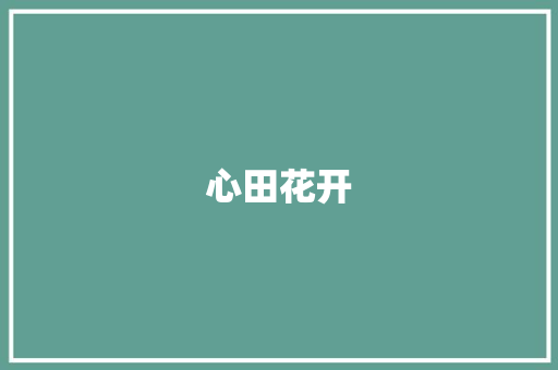 心田花开
