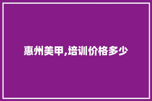 惠州美甲,培训价格多少 应用文