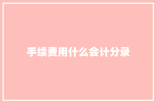 手续费用什么会计分录