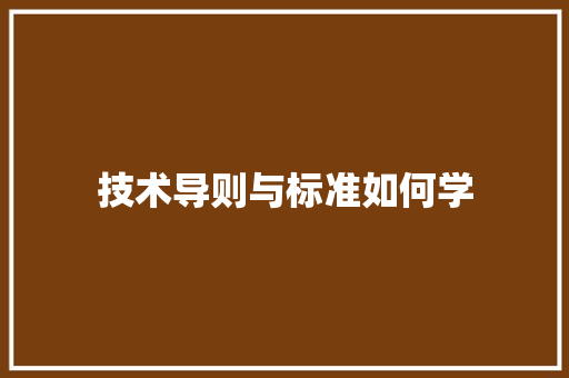 技术导则与标准如何学