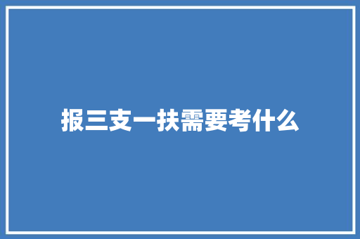 报三支一扶需要考什么 工作总结