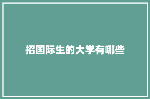 招国际生的大学有哪些