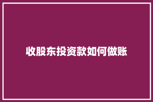收股东投资款如何做账