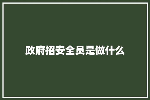 政府招安全员是做什么