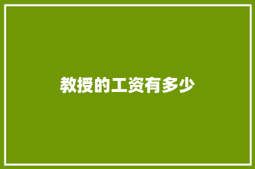 教授的工资有多少