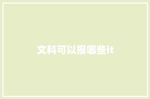 文科可以报哪些it