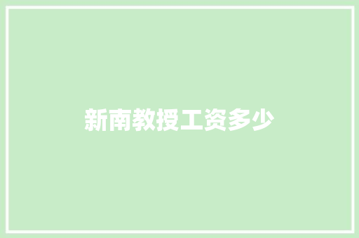 新南教授工资多少
