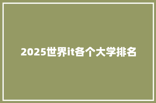 2025世界it各个大学排名