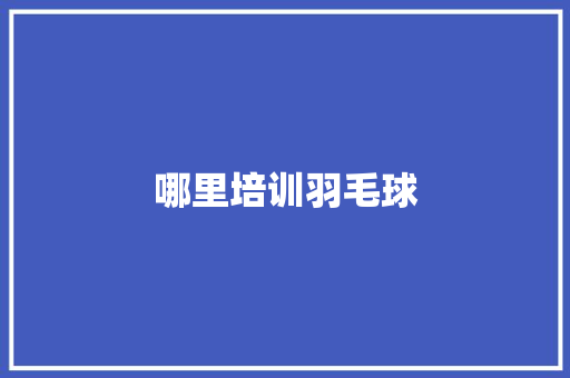 哪里培训羽毛球