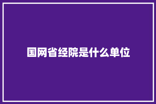 国网省经院是什么单位