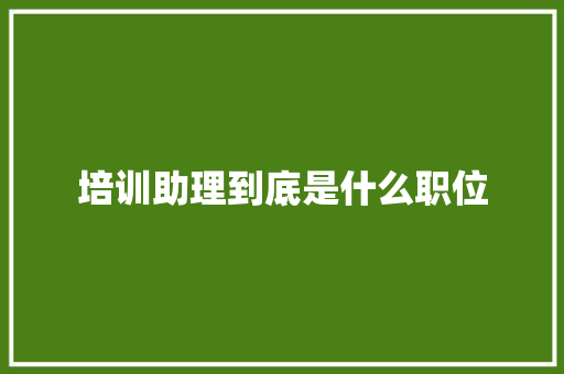 培训助理到底是什么职位