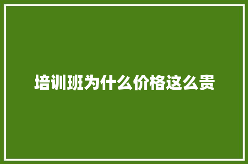 培训班为什么价格这么贵