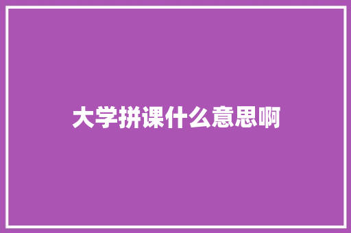大学拼课什么意思啊