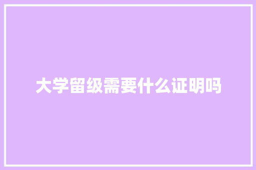大学留级需要什么证明吗