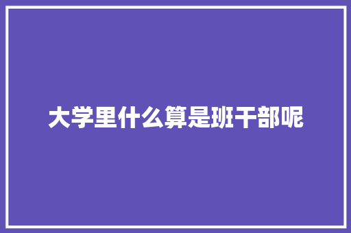 大学里什么算是班干部呢
