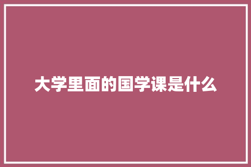 大学里面的国学课是什么
