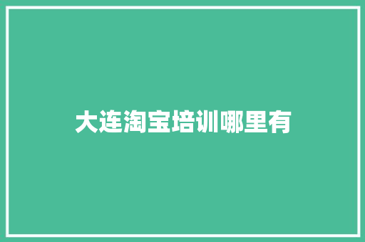 大连淘宝培训哪里有