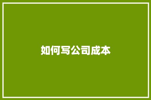 如何写公司成本