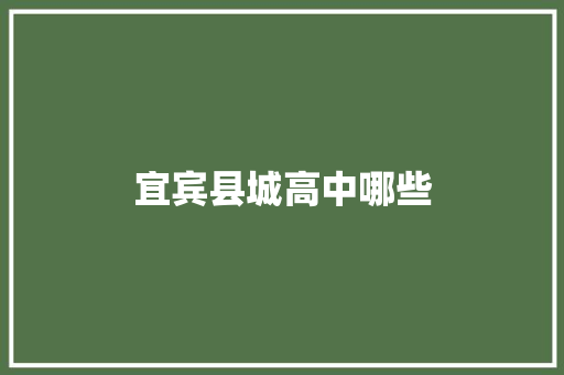 宜宾县城高中哪些