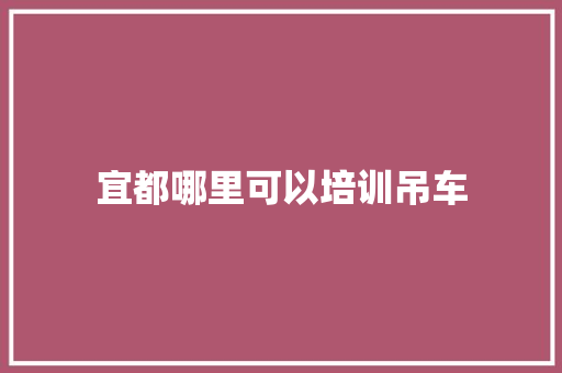 宜都哪里可以培训吊车