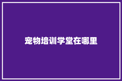 宠物培训学堂在哪里