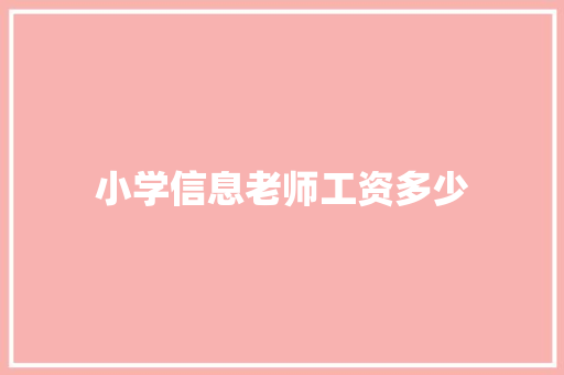 小学信息老师工资多少