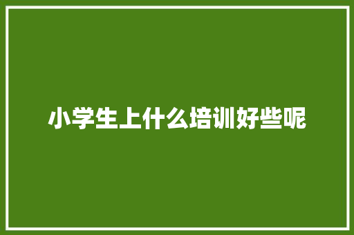 小学生上什么培训好些呢