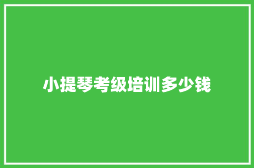 小提琴考级培训多少钱