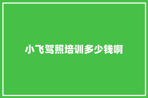 小飞驾照培训多少钱啊