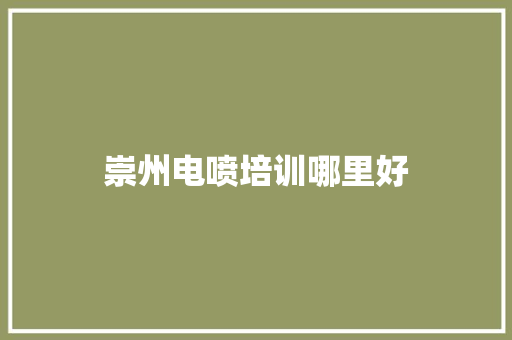 崇州电喷培训哪里好