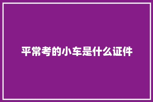 平常考的小车是什么证件