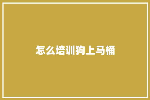怎么培训狗上马桶