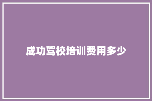 成功驾校培训费用多少