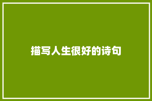 描写人生很好的诗句