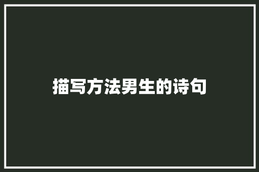 描写方法男生的诗句