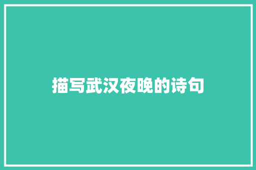 描写武汉夜晚的诗句