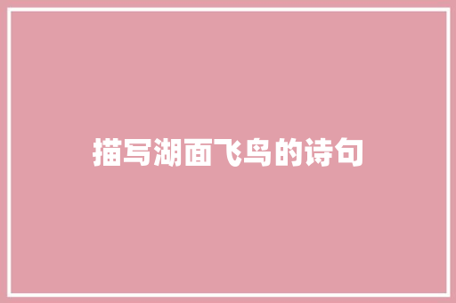 描写湖面飞鸟的诗句